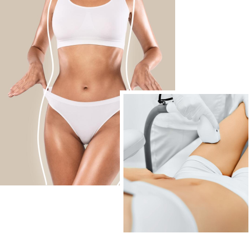 Beauty-Bungalow - MDS Contour - Weight Loss